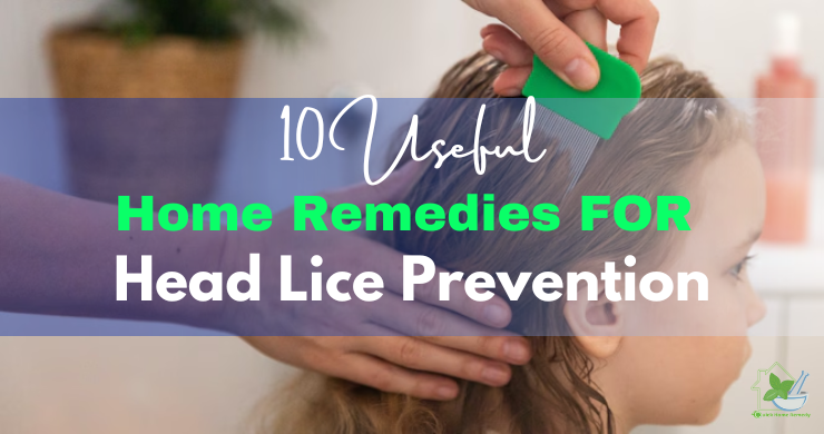 Home Remedies For Head Lice Prevention (1)