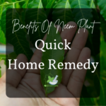 Benefits Of Neem Plant _ Quick Home Remedy