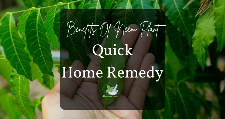 Benefits Of Neem Plant _ Quick Home Remedy