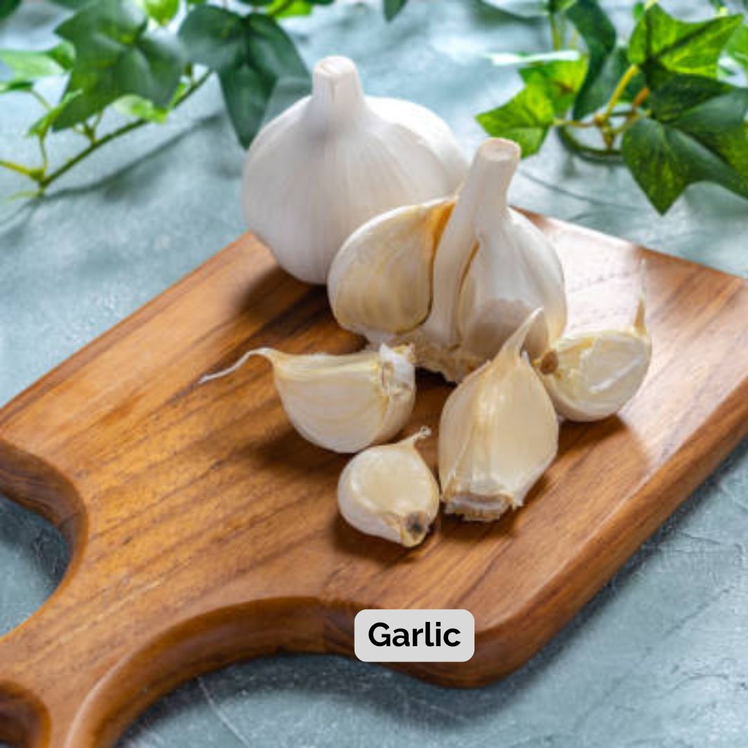 Garlic