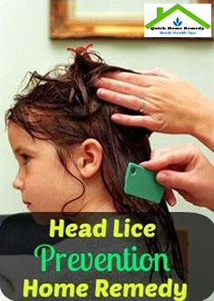 Top 10 Useful Home Remedies For Head Lice Prevention