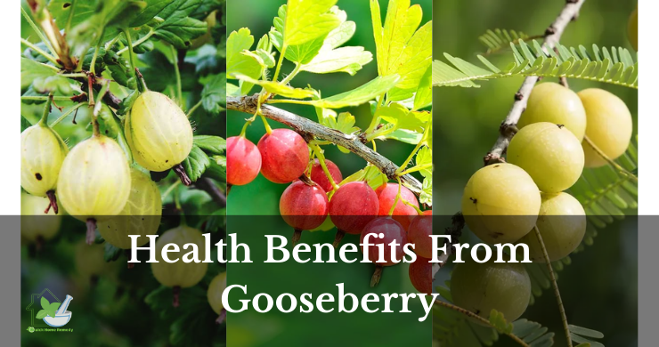 Health Benefits From Gooseberry