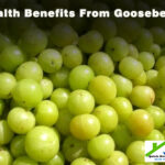 Health Benefits From Gooseberry
