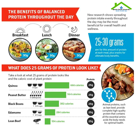 Why Our Body Needs Protein – Know Protein Benefits For You