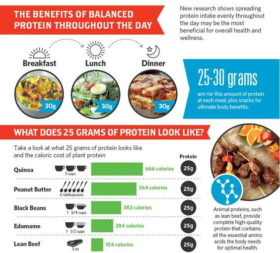 Why Our Body Needs Protein - Know Protein Benefits For You