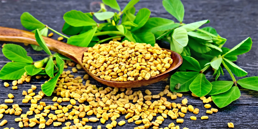 FENUGREEK