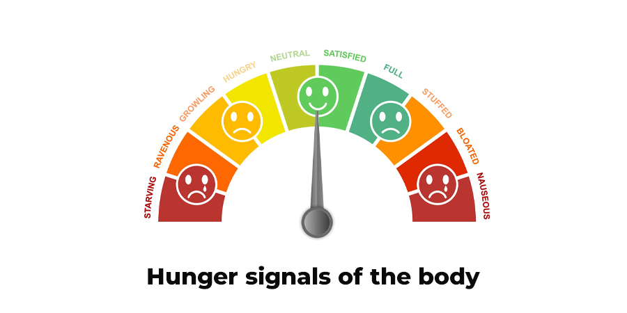 Hunger signals of the body