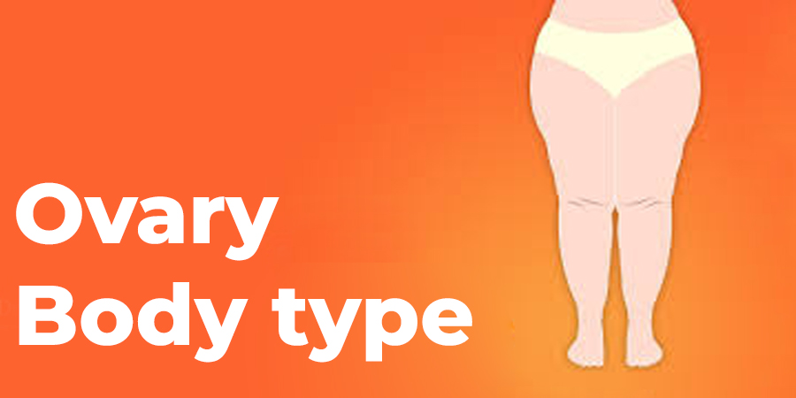 Over Body Type