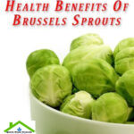 Benefits Of Brussels Sprouts To Lose Weight