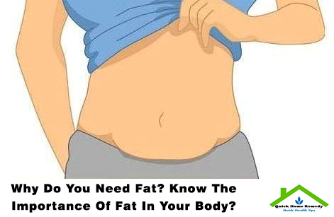 Why Do You Need Fat? Know The Importance Of Fat In Your Body