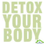 How To Detox Your Entire Body To Lose Weight